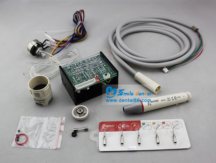 Woodpecker N2 LED detachable